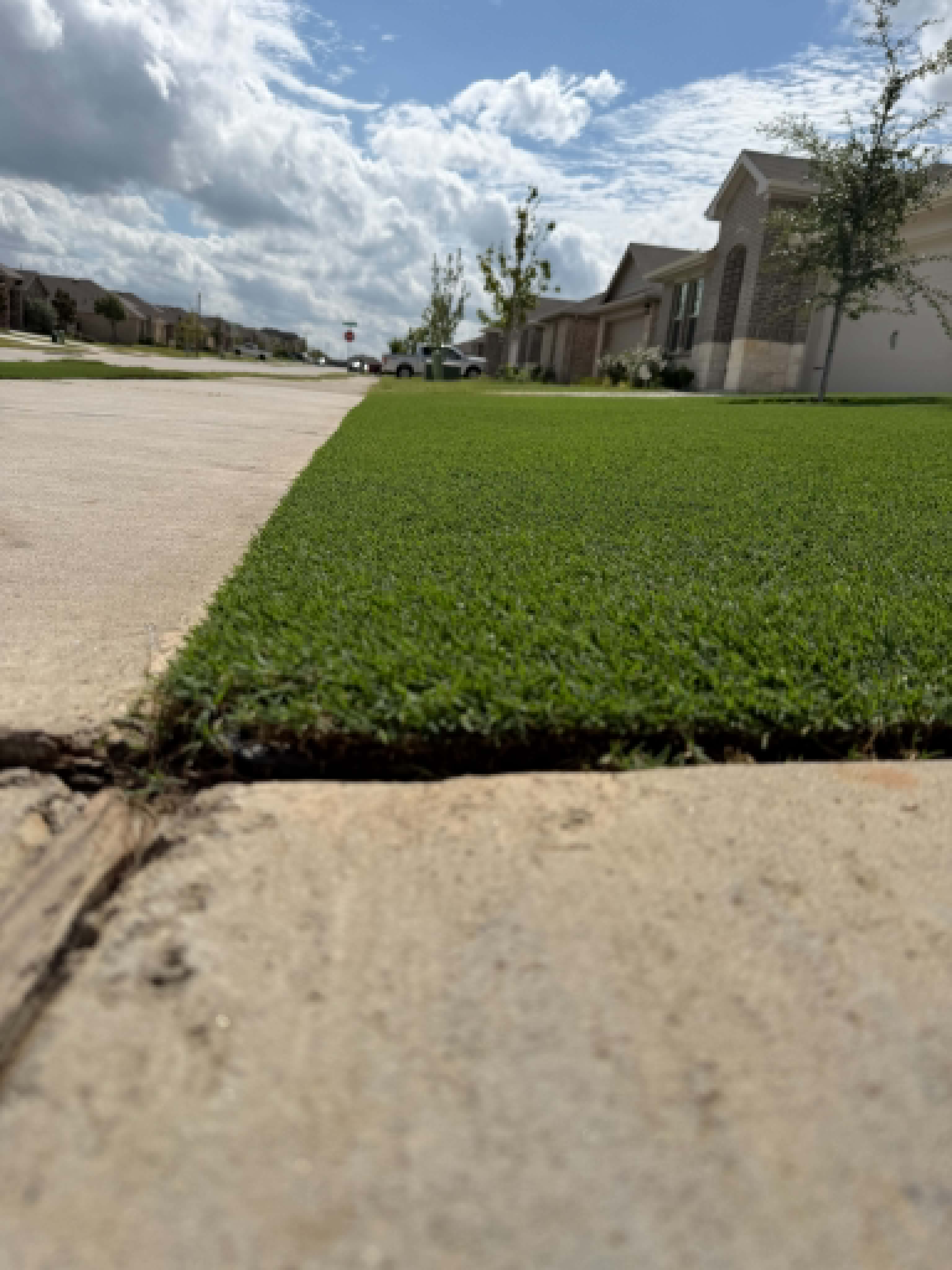A community lawn