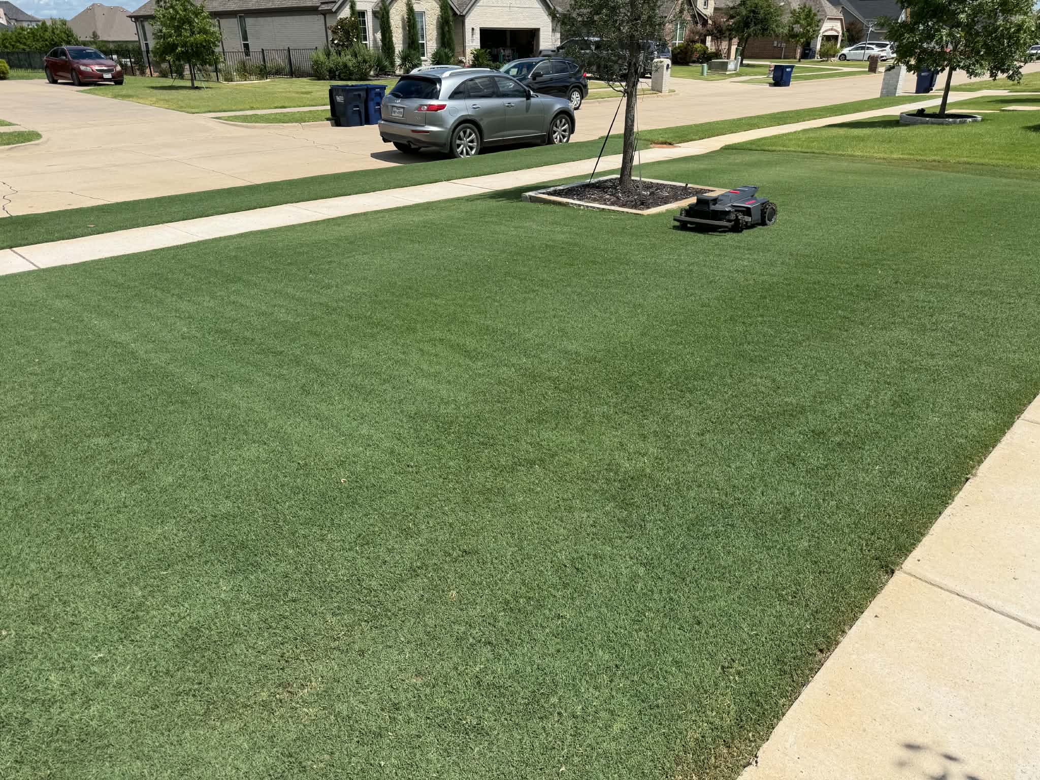 A community lawn