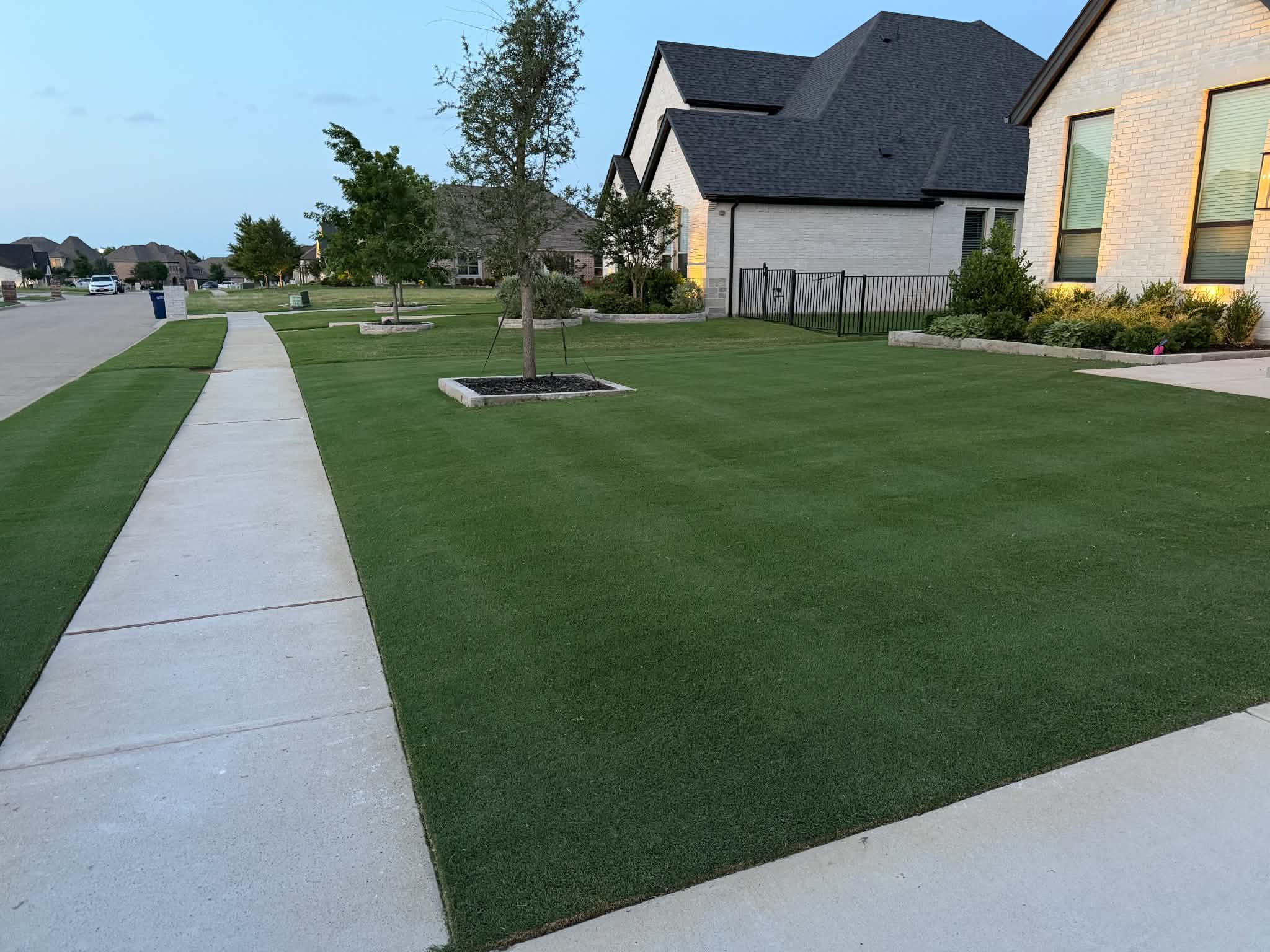 A community lawn