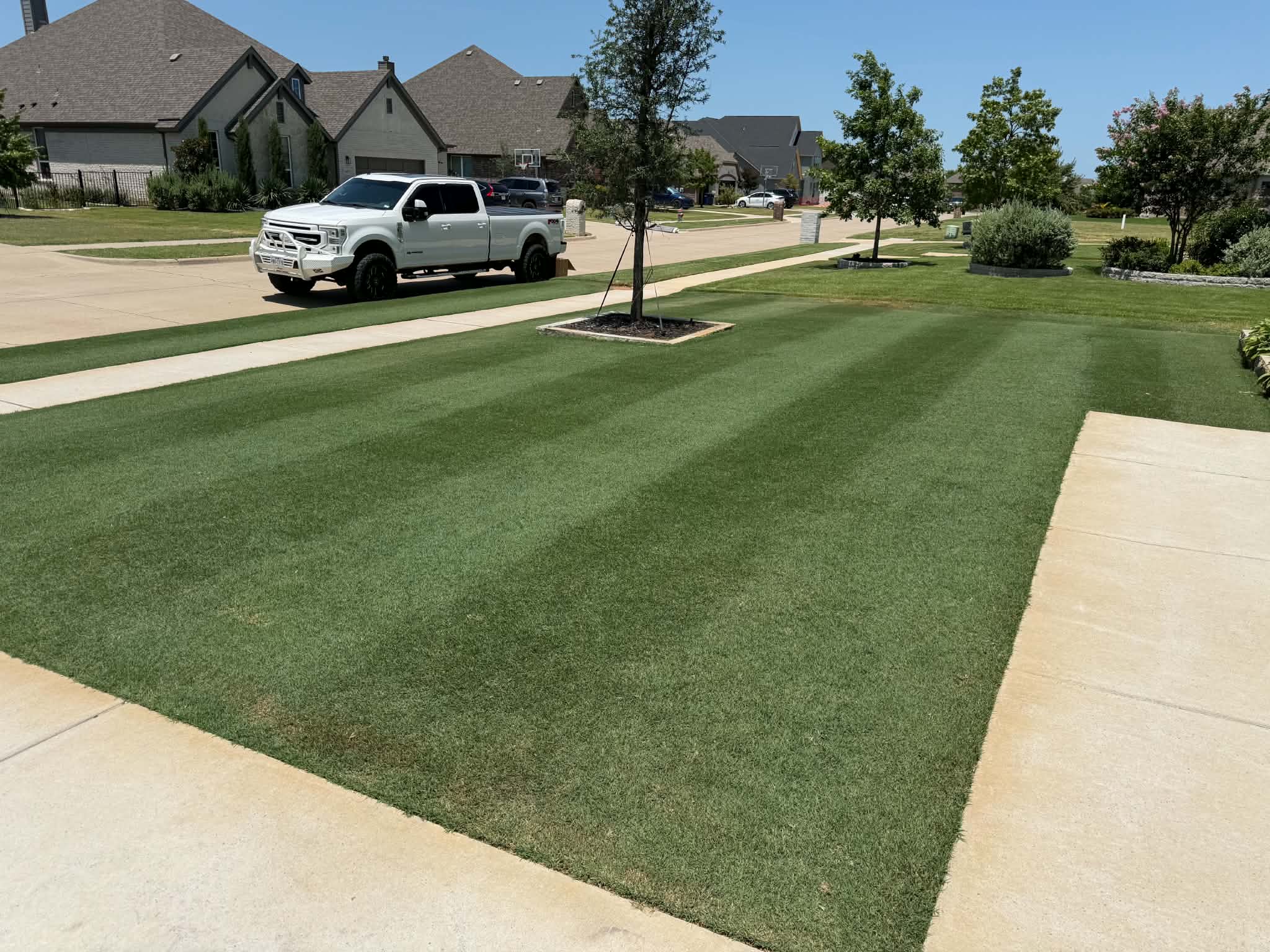 A community lawn